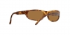 RB3957 Julie Sunglasses