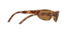 RB3957 Julie Sunglasses