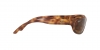 RB3957 Julie Sunglasses