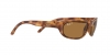 RB3957 Julie Sunglasses