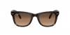 RB4105 Folding Wayfarer Sunglasses