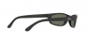 RB4105 Folding Wayfarer Sunglasses