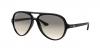 RB4125 Cats 5000 Sunglasses