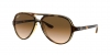 RB4125 Cats 5000 Sunglasses
