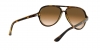 RB4125 Cats 5000 Sunglasses