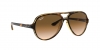 RB4125 Cats 5000 Sunglasses