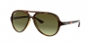 RB4125 Cats 5000 Sunglasses