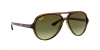 RB4125 Cats 5000 Sunglasses