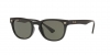 RB4128 Cats 4000 Sunglasses