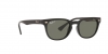 RB4128 Cats 4000 Sunglasses