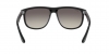 RB4147 Boyfriend Sunglasses