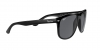 RB4147 Boyfriend Sunglasses