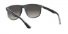 RB4147 Boyfriend Sunglasses