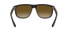 RB4147 Boyfriend Sunglasses