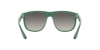 RB4147 Boyfriend Sunglasses