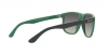 RB4147 Boyfriend Sunglasses