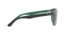 RB4147 Boyfriend Sunglasses