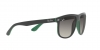 RB4147 Boyfriend Sunglasses
