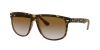 RB4147 Boyfriend Sunglasses