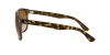 RB4147 Boyfriend Sunglasses