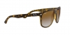 RB4147 Boyfriend Sunglasses