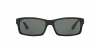 RB4147 Boyfriend Sunglasses