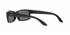 RB4147 Boyfriend Sunglasses