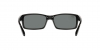 RB4147 Boyfriend Sunglasses