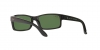 RB4147 Boyfriend Sunglasses