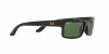 RB4147 Boyfriend Sunglasses