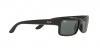 RB4147 Boyfriend Sunglasses