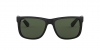 RB4165F Justin Sunglasses