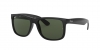 RB4165F Justin Sunglasses