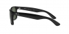 RB4165F Justin Sunglasses