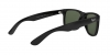 RB4165F Justin Sunglasses