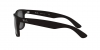 RB4165F Justin Sunglasses