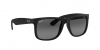 RB4165F Justin Sunglasses