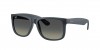 RB4165F Justin Sunglasses