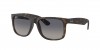 RB4165F Justin Sunglasses