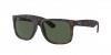 RB4165F Justin Sunglasses