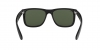 RB4165F Justin Sunglasses
