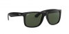 RB4165F Justin Sunglasses