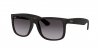 RB4165L Justin Sunglasses
