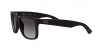 RB4165L Justin Sunglasses