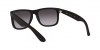 RB4165L Justin Sunglasses