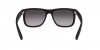 RB4165L Justin Sunglasses
