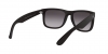 RB4165L Justin Sunglasses