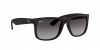 RB4165L Justin Sunglasses