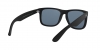 RB4165L Justin Sunglasses