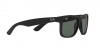 RB4165L Justin Sunglasses